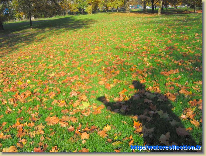 Diapositive suivante